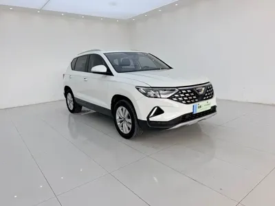 Jetta VS5
