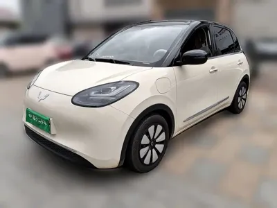 Wuling Bingo
