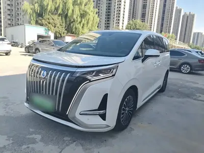 Denza Denza D9