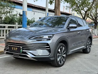 BYD PLUS New Energy
