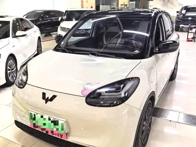 Wuling Bingo