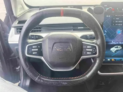 NETA Neta V