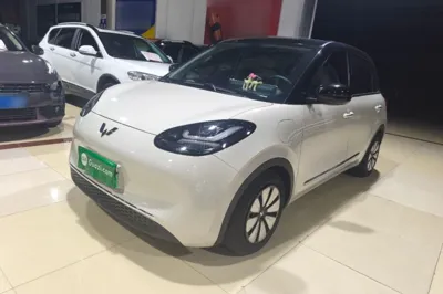 Wuling Bingo