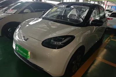 Wuling Bingo