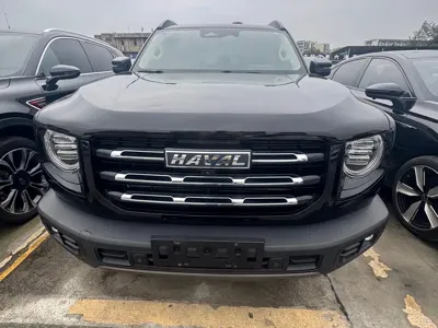 Haval Big Dog
