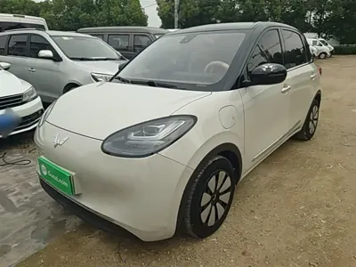 Wuling Bingo