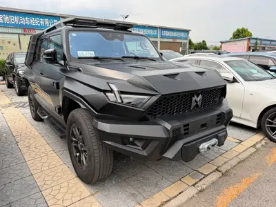 Mengshi Mengshi 917