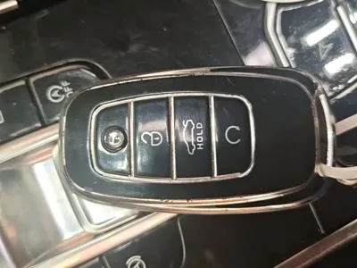 Hongqi Hongqi H9
