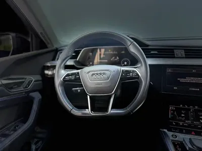 Audi e-tron (Import)