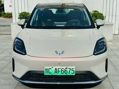 Wuling 缤果S
