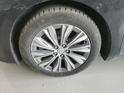 Hongqi E-QM5