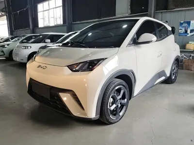 BYD Seagull