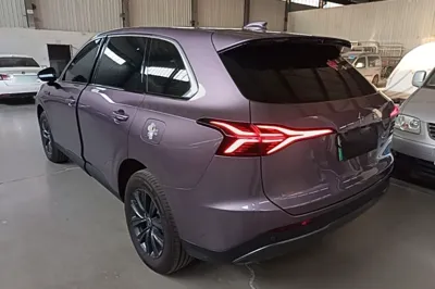 Hongqi HS6 PHEV