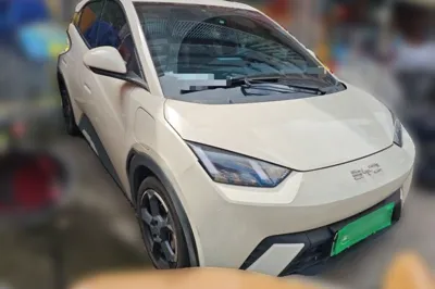 BYD Seagull