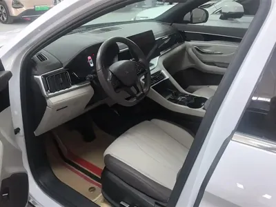 BYD PLUS New Energy