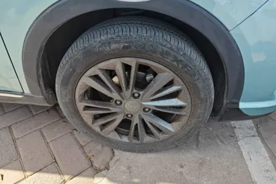 NETA V