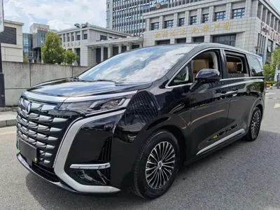 Denza Denza D9