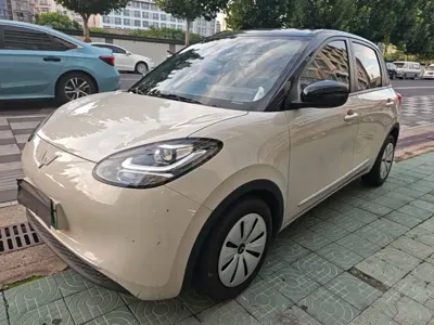 Wuling Bingo