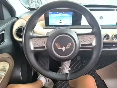 Wuling Bingo