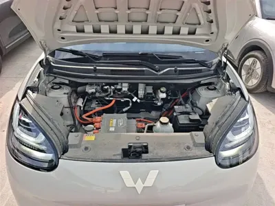 Wuling Bingo