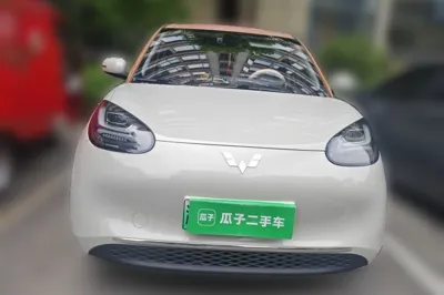 Wuling Bingo