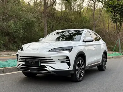 BYD PLUS New Energy