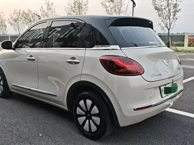 Wuling Bingo