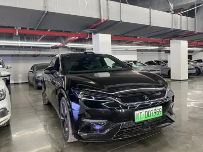 BYD L EV