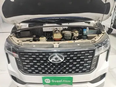 Maxus V80