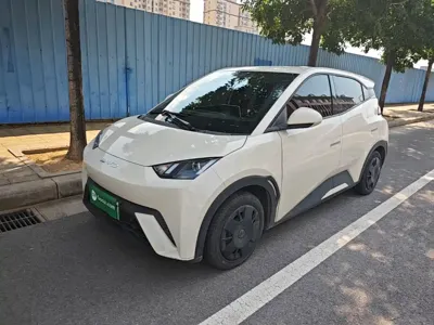 BYD Seagull