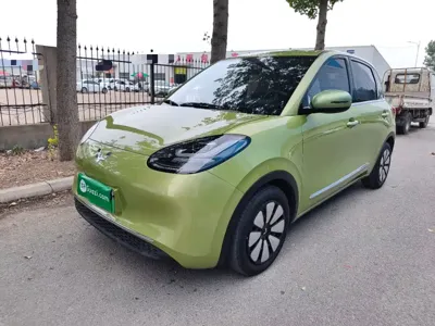 Wuling Bingo