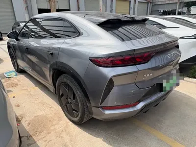 BYD L EV