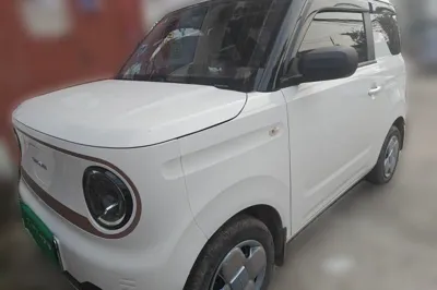 Geely Galaxy Panda