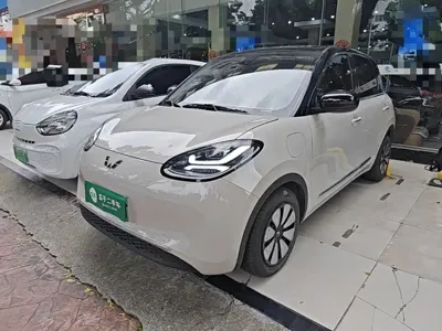 Wuling Bingo
