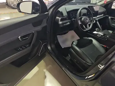 BYD Pro New Energy