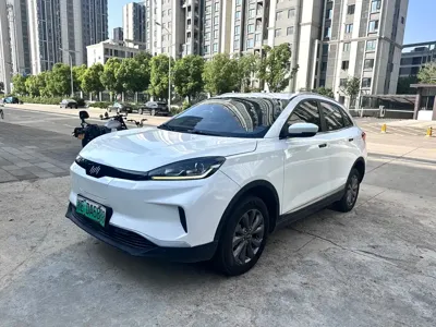 WM Motor EX5