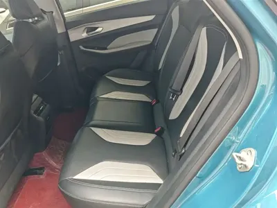 Geely Binrui