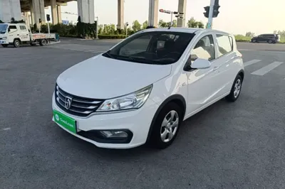 Baojun 310