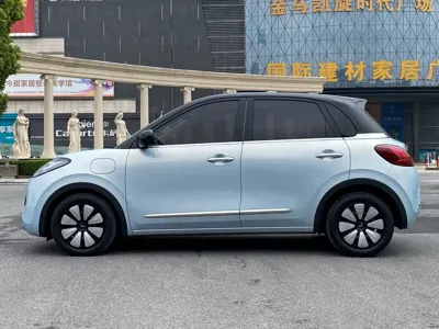 Wuling Bingo