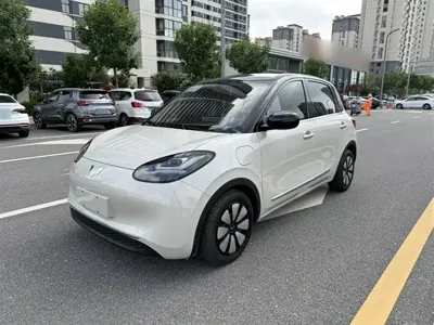 Wuling Bingo