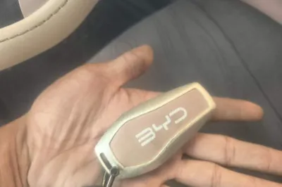 BYD Seagull