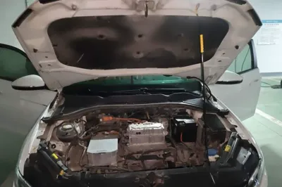 Volkswagen Bora Pure Electric
