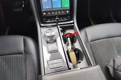 Ford Taurus