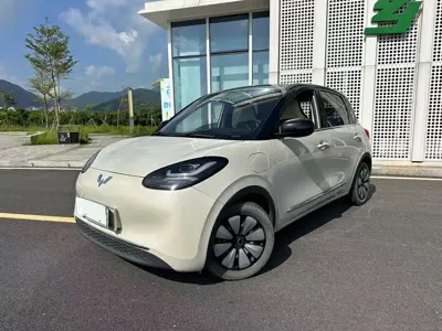 Wuling Bingo