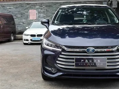 BYD MAX New Energy