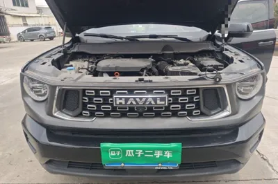 Haval H Dog