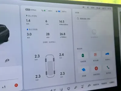 Li Auto Li L7