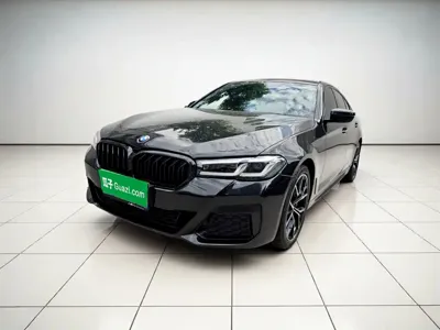 BMW 5 Series (Import)