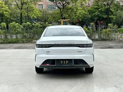 BYD Destroyer 05