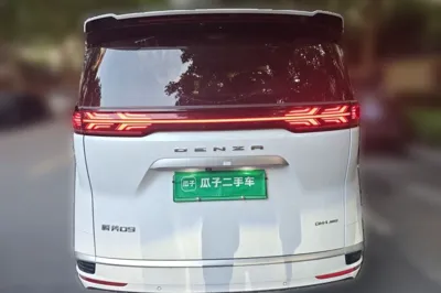 Denza D9